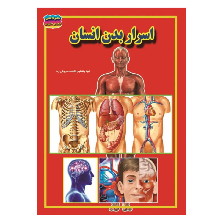 کتاب اسرار بدن انسان نوشته فاطمه سروش راد انتشارات حباب