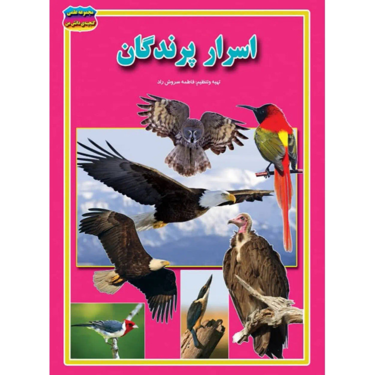 کتاب اسرار پرندگان نوشته فاطمه سروش راد انتشارات حباب