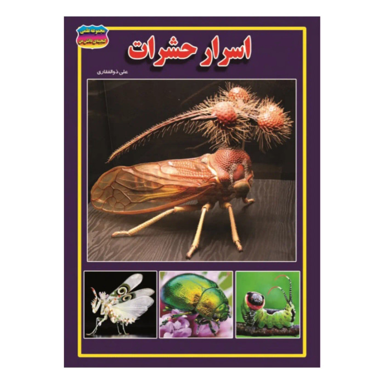 کتاب اسرار حشرات نوشته فروغ سروش راد نشر حباب