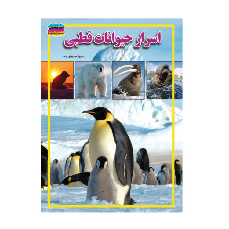 کتاب اسرار حیوانات قطبی نوشته فروغ سروش راد انتشارات حباب