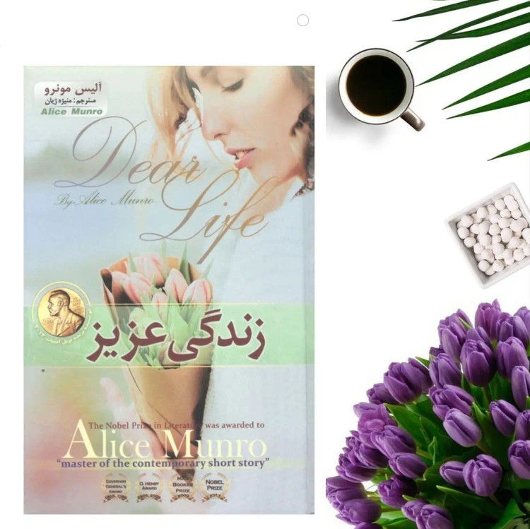 کتاب زندگی عزیز اثر آلیس مونرو انتشارات آسمان علم (جلد گالینگور)