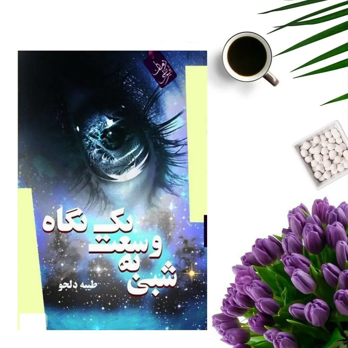 کتاب شبی به وسعت یک نگاه اثر طیبه دلجو (رمان ایرانی)