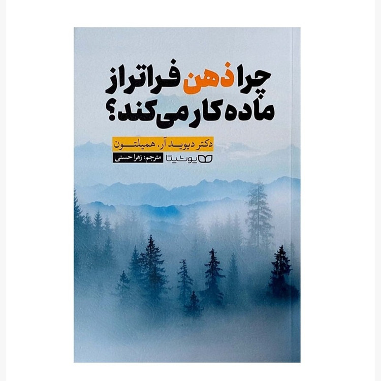 کتاب چرا ذهن فراتر از ماده کار می کند؟ اثر دکتر دیوید آر . همیلتون ترجمه زهرا حسنی انتشارات یوشیتا
